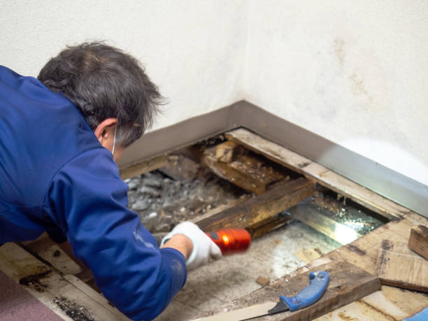 Best Crawl Space Mold Remediation in Ranger, TX