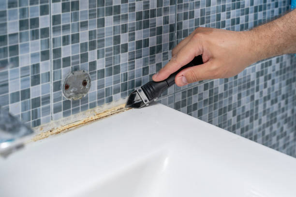 Best Basement Mold Remediation in Ranger, TX