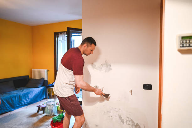 Best Health and Safety Mold Remediation in Ranger, TX