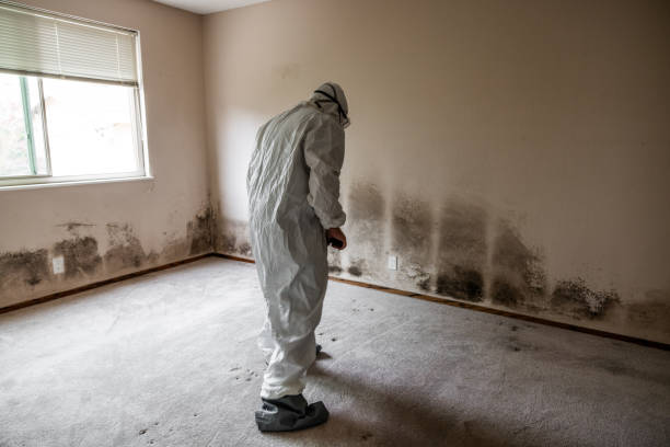Best Industrial Mold Remediation in Ranger, TX